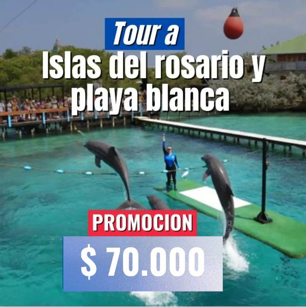Oceanario Cartagena , Nadar Con Delfines