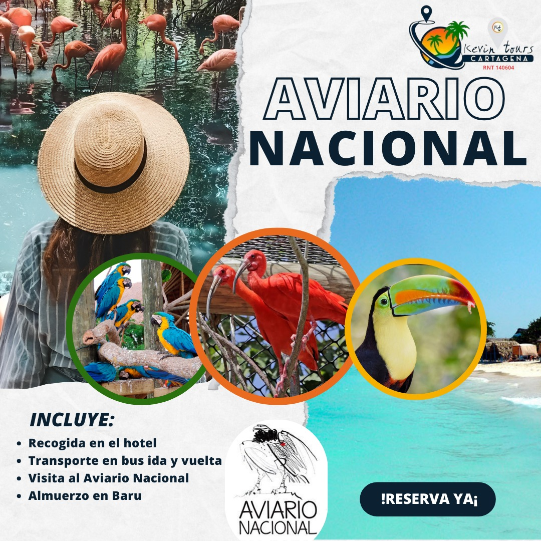 AVIARIO01