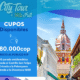 City Tours Vip
