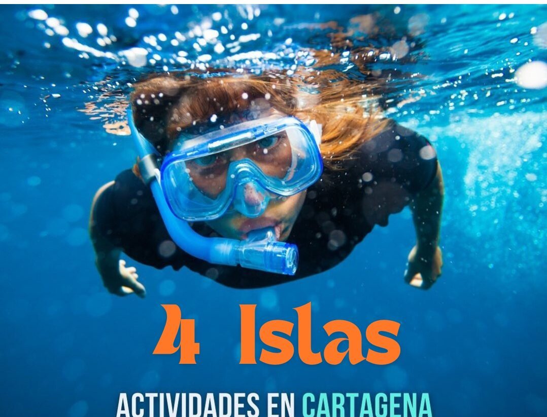 4 Islas