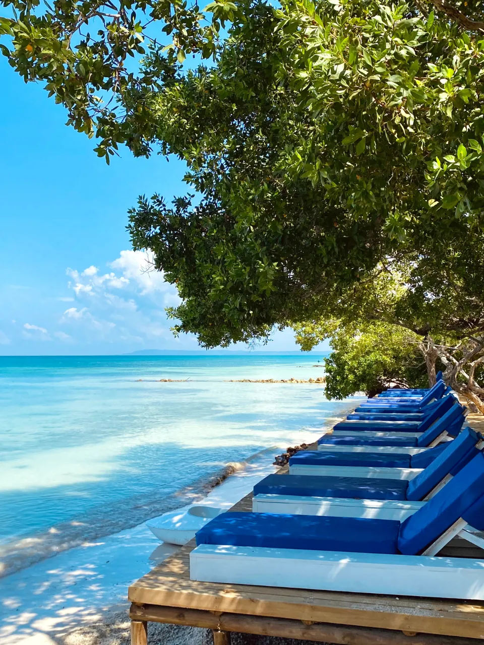 ISLA PALMA
