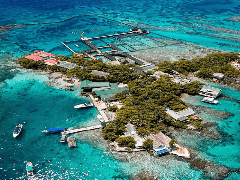 Isla-san-martin-de-pajaral-oceanario-islas-1