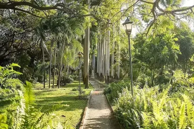 Museo-Bolivariano-de-arte-contemporaneo