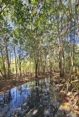 camino-natural-aviario-cartagena