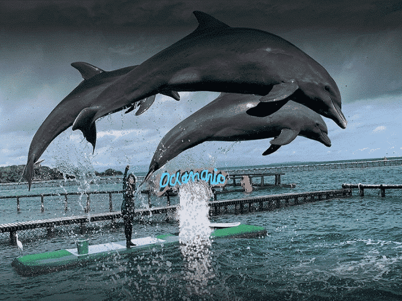 oceanario-1
