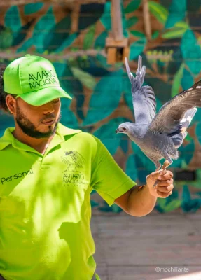 presentacion-aves-aviario-nacional