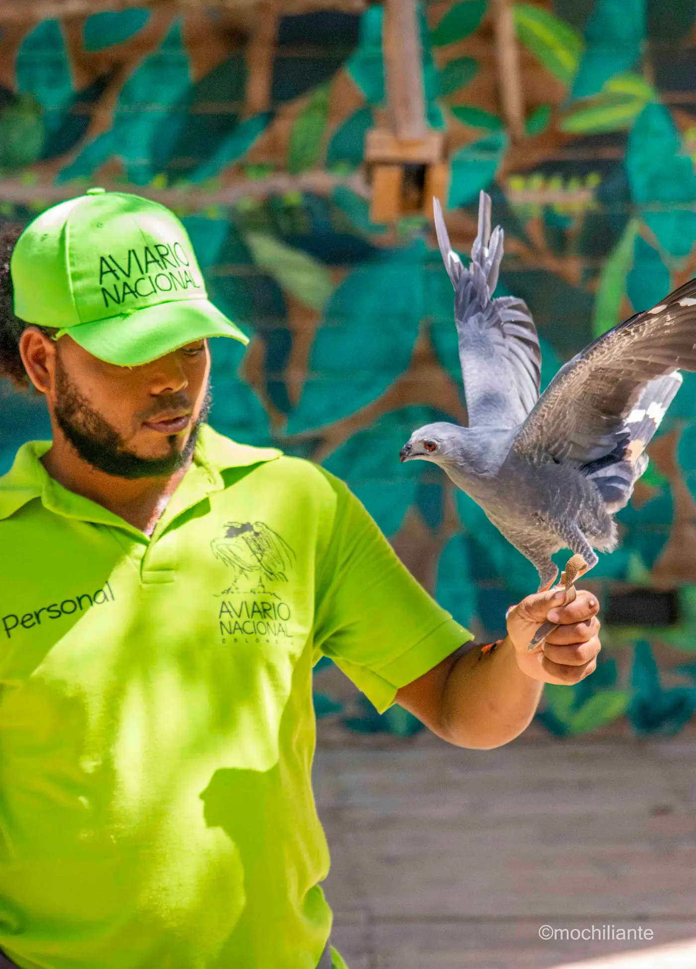 presentacion-aves-aviario-nacional