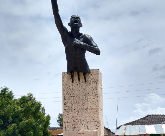 TOUR SAN BASILIO DE PALENQUE